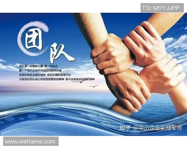 武汉排球队在洲际杯中的灵活战术表现与团队协作分析