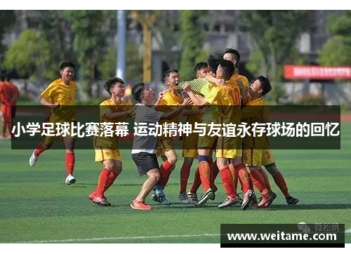 小学足球比赛落幕 运动精神与友谊永存球场的回忆