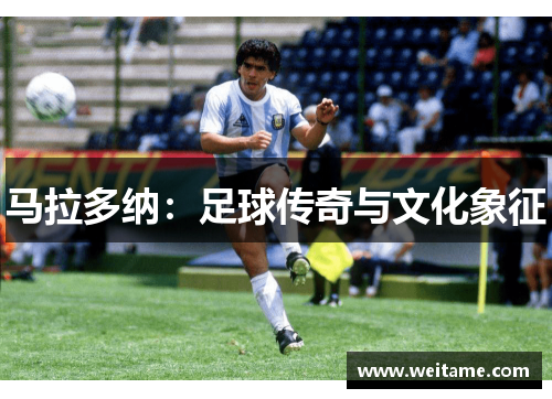 马拉多纳：足球传奇与文化象征
