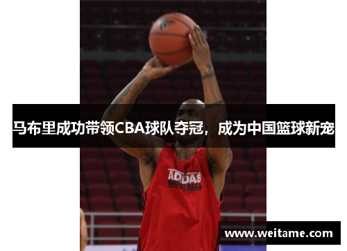 马布里成功带领CBA球队夺冠，成为中国篮球新宠